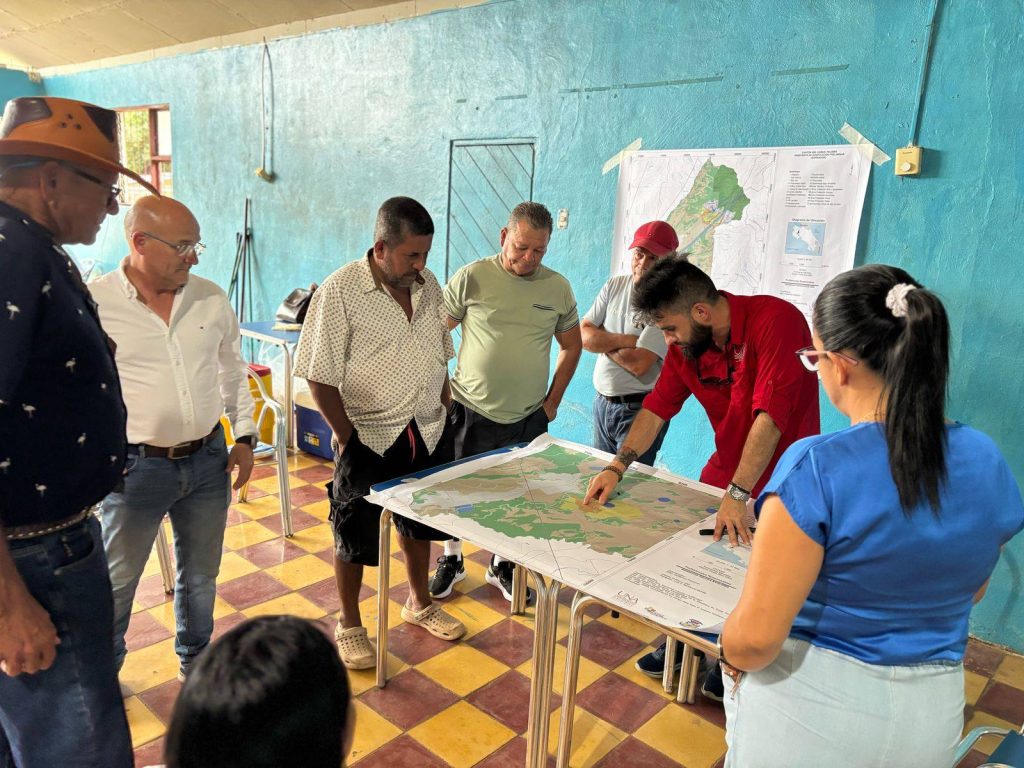 ordenamiento cañas