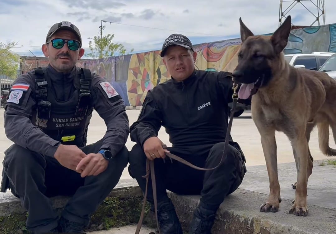 Policía canina